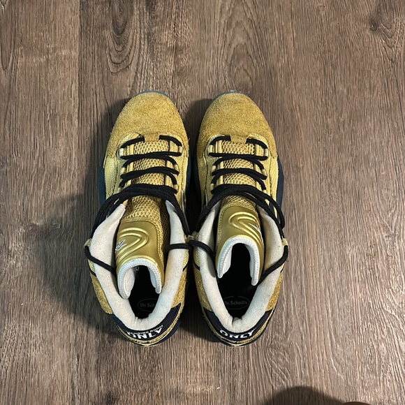 Reebok Iverson Questions ‘Standing Room Only Rucker Park’ - Picture 9 of 9